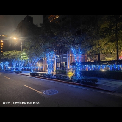 聖誕燈 串燈 藍白實景圖