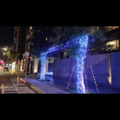 聖誕燈 串燈 藍白實景圖