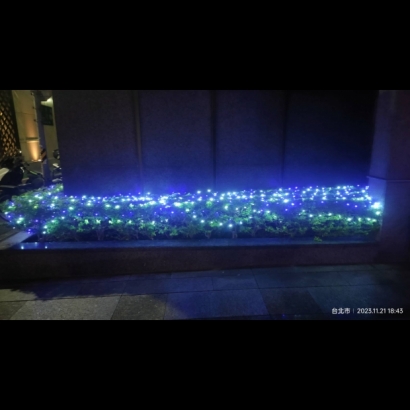 聖誕燈 串燈 藍白實景圖