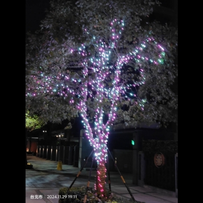 聖誕燈 串燈 粉白光實景圖