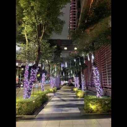 聖誕燈 串燈 粉白光實景圖