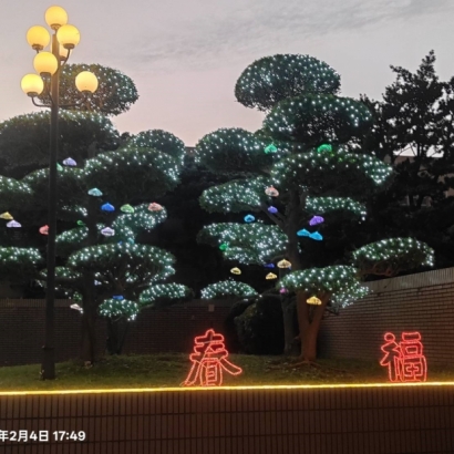 聖誕燈 水母燈 網燈 造型實景圖.jpg