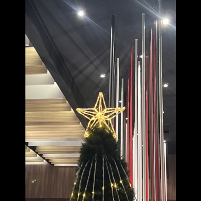 聖誕燈 立體五角星 實景圖 聖誕燈 立體五角星 實景圖