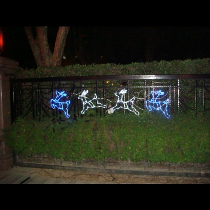 聖誕燈冰燈造型 小鹿實景圖