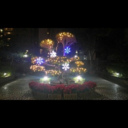 聖誕燈 冰燈造型 藍白四雪花實景圖 聖誕燈 冰燈造型 藍白四雪花實景圖