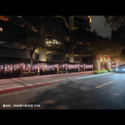 聖誕燈 冰燈 玫瑰金閃白實景圖