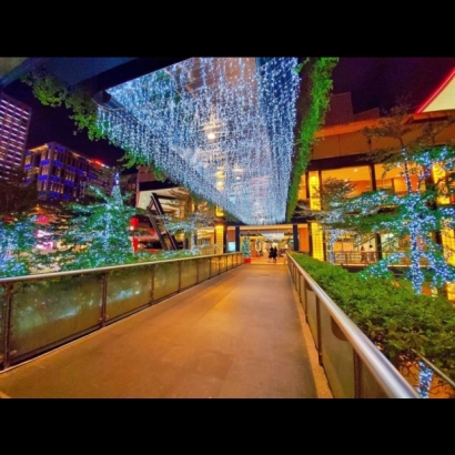 聖誕燈 冰燈 白光實景圖 聖誕燈 冰燈 白光實景圖