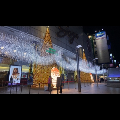 聖誕燈 窗簾燈 白光實景圖