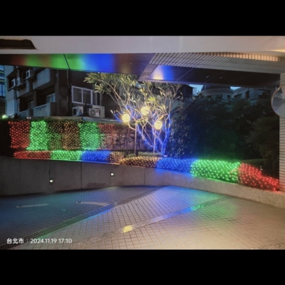 聖誕燈 網燈 黃光 紅光 綠光 藍光 實景圖