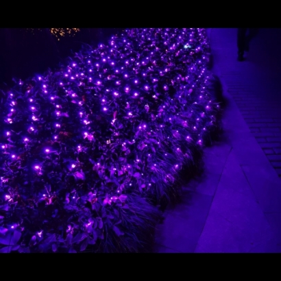 聖誕燈 網燈 紫光實景圖