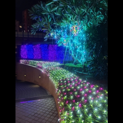 聖誕燈 網燈 紫光 藍光實景圖 