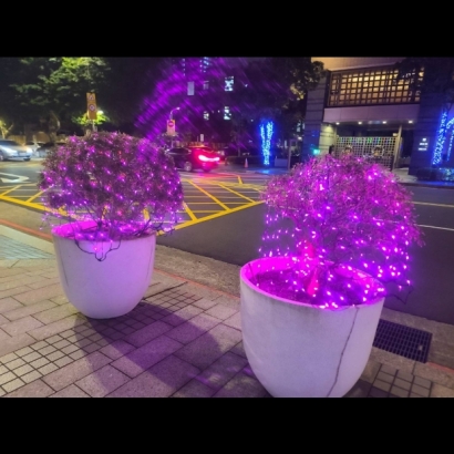 聖誕燈 粉紅網燈實景圖