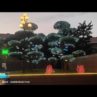 聖誕燈 網燈 白光 水母燈實景圖