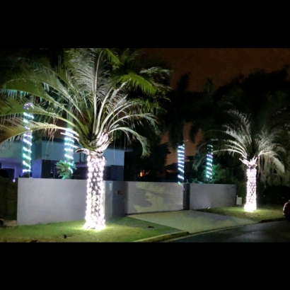 聖誕燈 網燈 白光實景圖