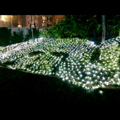 聖誕燈 網燈 白光實景圖