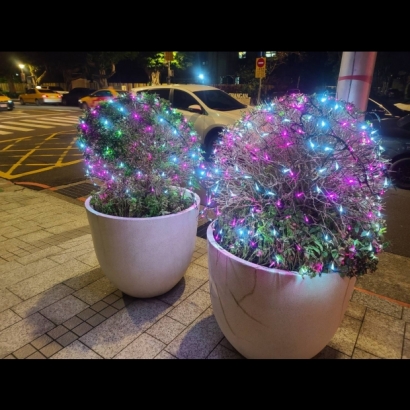 聖誕燈 網燈 粉白實景圖