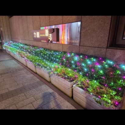 聖誕燈 網燈 粉白實景圖