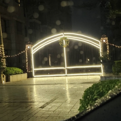 聖誕燈 軟條燈實景圖