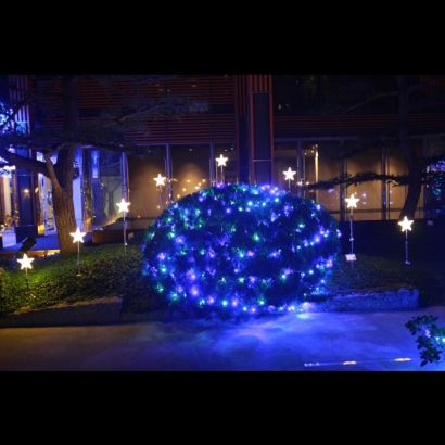 聖誕燈 3D星星樹頂插土燈 實景圖 