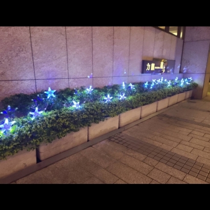 聖誕燈 3D星星樹頂插土燈 實景圖 