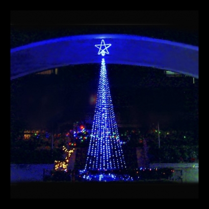 聖誕燈 聖誕燈樹